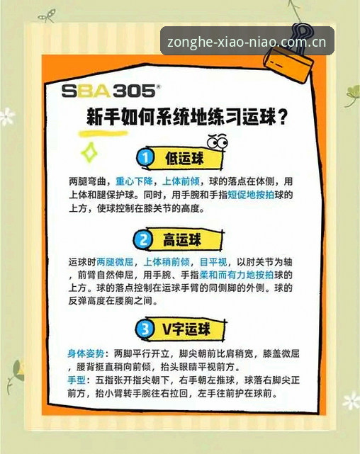 揭秘小鸟体育iOS版：从新手到高手的完整操作指南